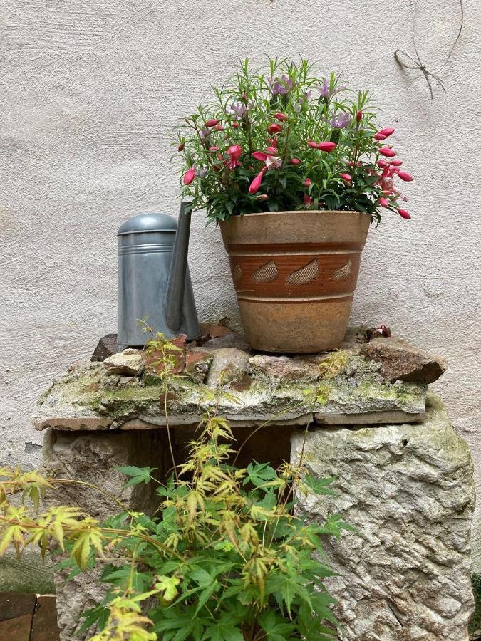Renaissancestuben Apartment Torgau Luaran gambar